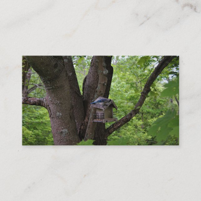 Looking for a Bite to Eat Business Card (Front)