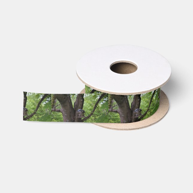 Looking for a Bite to Eat Satin Ribbon (Spool)