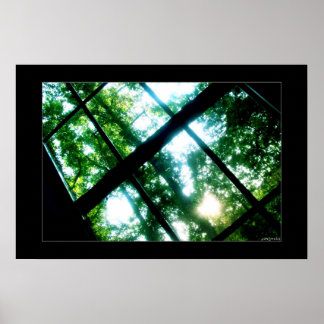 looking for freedom poster