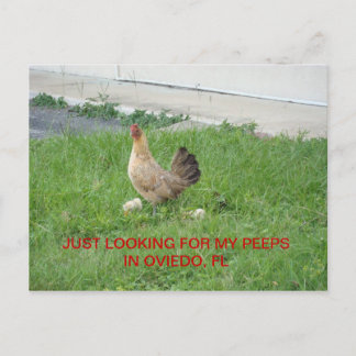 Looking for my peeps postcards
