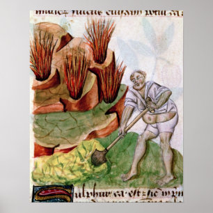 Looking for Sulphur, Dioscorides' 'De Herbis' Poster