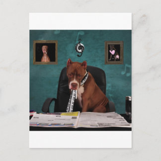 Looking for talent postcard