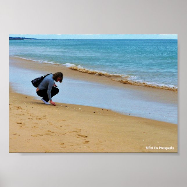 Looking for the Perfect Seashell Poster (Front)
