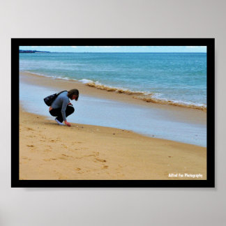 Looking for the Perfect Seashell Poster