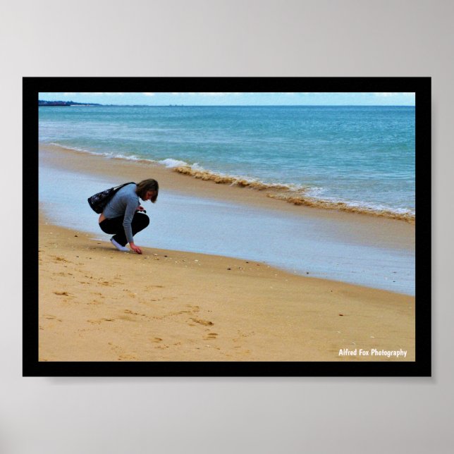 Looking for the Perfect Seashell Poster (Front)