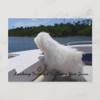 Looking Forward To Seeing You Soon Postcard