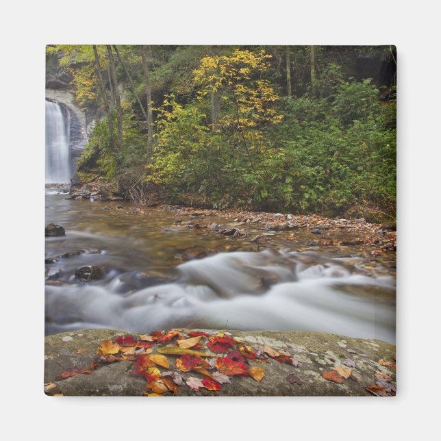 Looking Glass Falls in the Pisgah National Magnet (Front)