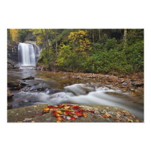 Looking Glass Falls in the Pisgah National Photo Print
