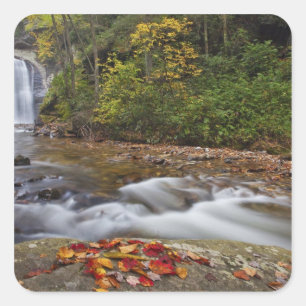 Looking Glass Falls in the Pisgah National Square Sticker