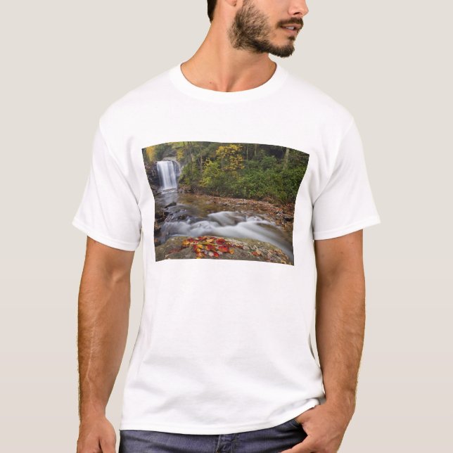 Looking Glass Falls in the Pisgah National T-Shirt (Front)