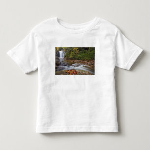 Looking Glass Falls in the Pisgah National Toddler T-Shirt
