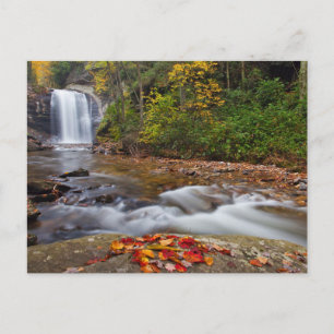 Looking Glass Falls Pisgah National Forest Postcard