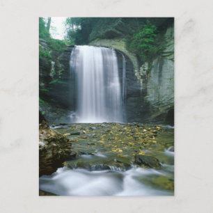 Looking Glass Falls Postcard