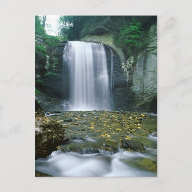 Looking Glass Falls Postcard (Front)