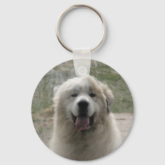 Looking Glass Key Ring