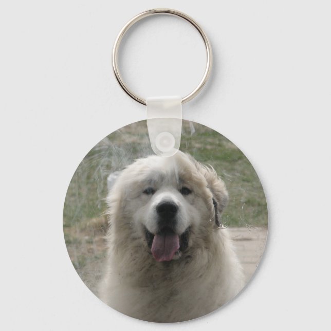 Looking Glass Key Ring (Front)