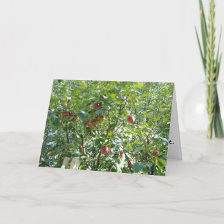 "Looking into the Apple Tree" Congratulatory Card