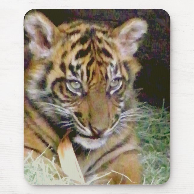 Looking_ Mouse Pad (Front)