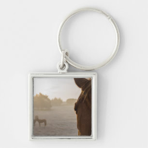 Looking Onward Key Ring