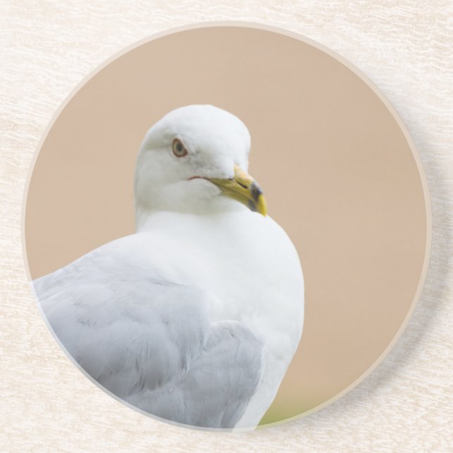 Looking Out Coaster (Front)