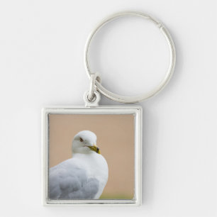 Looking Out Key Ring