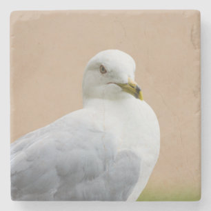 Looking Out Stone Coaster