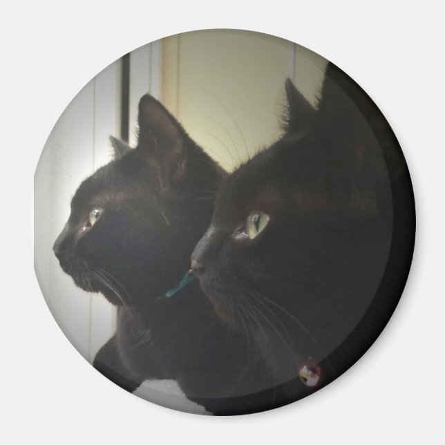 looking out the window magnet (Front)