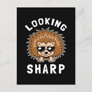 Looking Sharp Postcard