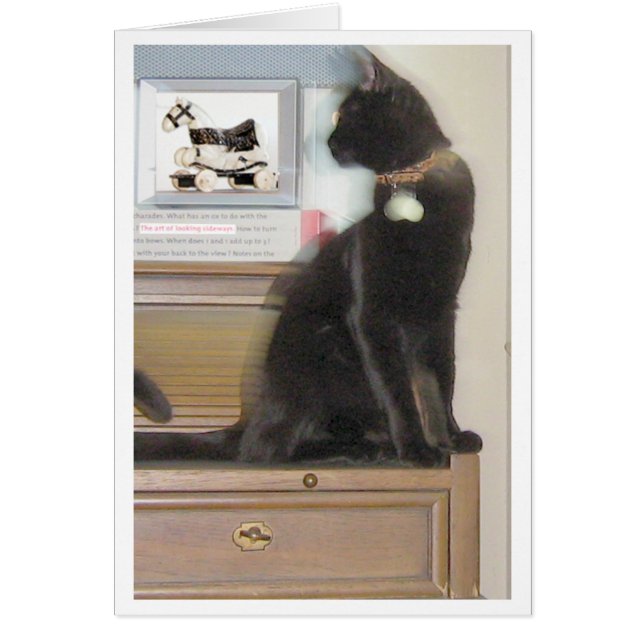 Looking Sideways (Front)