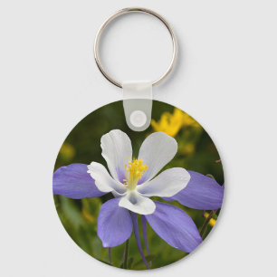 Looking Skyward Key Ring