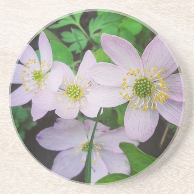 Looking so pretty this morning. #gardening #spring coaster (Front)
