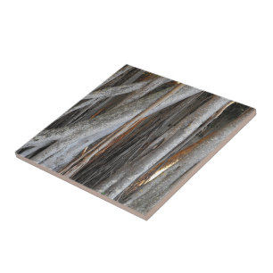 Looking through the Banyan Tree Ceramic Tile