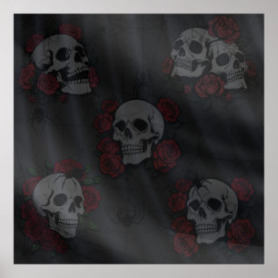 Looking Through The Veil At Death Skulls & Spiders Poster