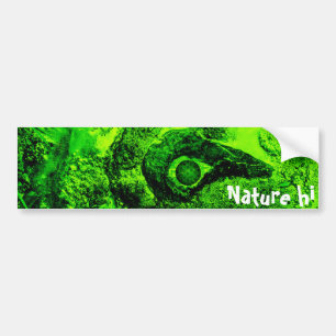 looking to green bumper sticker