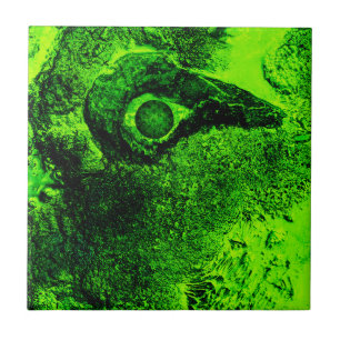 looking to green ceramic tile