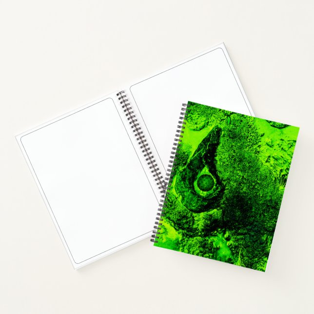 looking to green notebook (Inside)