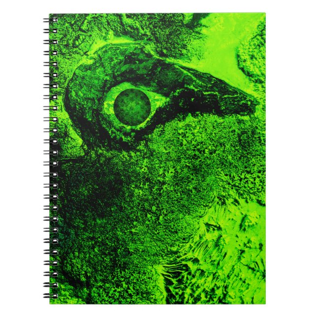 looking to green notebook (Front)