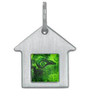 looking to green pet ID tag