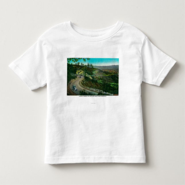 Looking towards Antelope Valley from Sandberg's Toddler T-Shirt (Front)