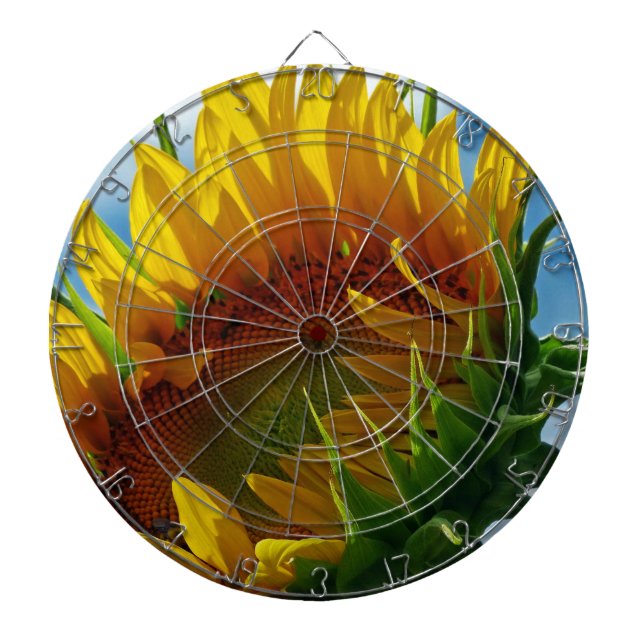 Looking Towards the Sun Dartboard (Front)