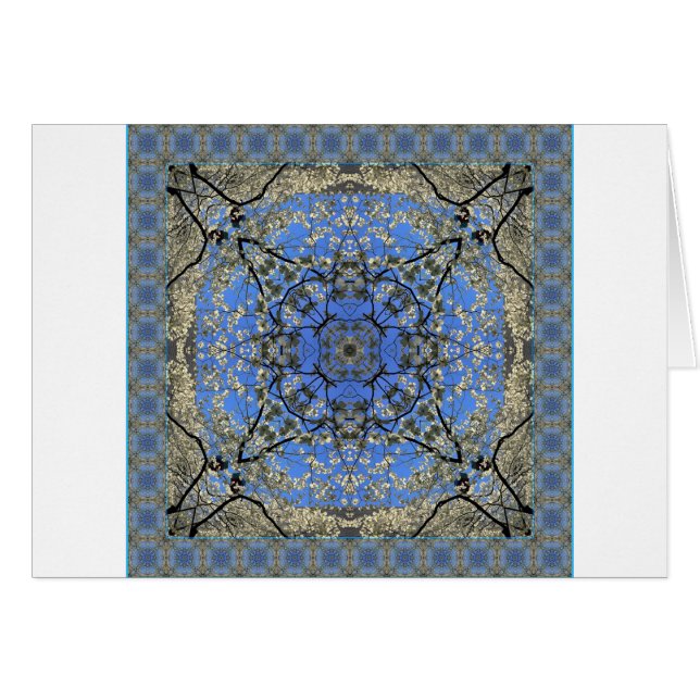 Looking Up (Front Horizontal)