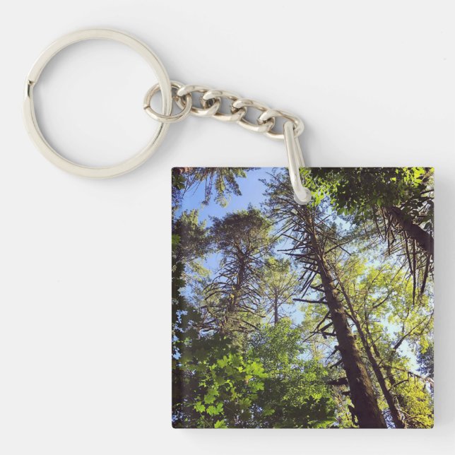 Looking up at the Trees Key Ring (Front)