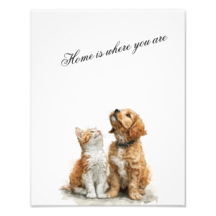 Looking Up at You – Home Is Where You Are Photo Print