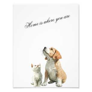 Looking Up at You – Home Is Where You Are Photo Print