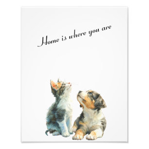 Looking Up at You – Home Is Where You Are-vol2 Photo Print