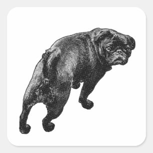 Looking Up, Fresh Mood Square Sticker