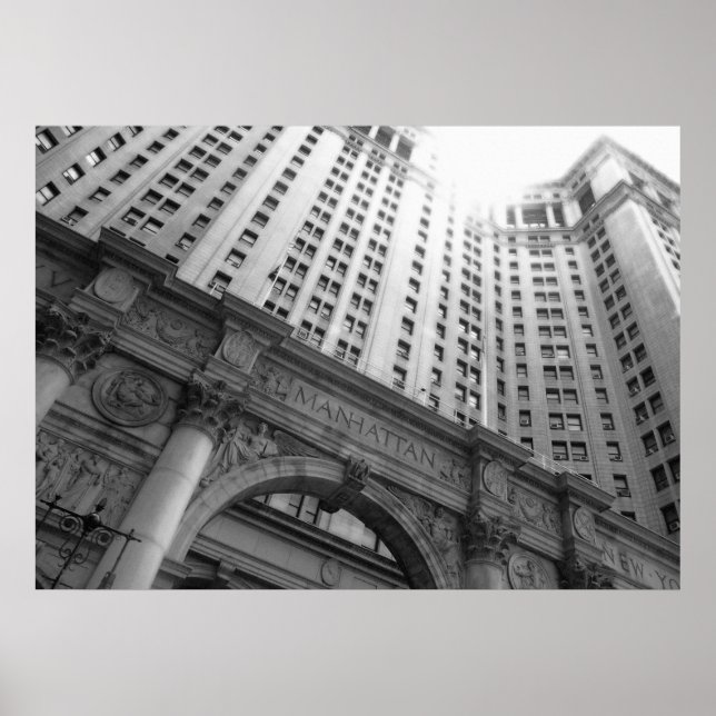 Looking Up Poster (Front)