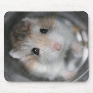 Looking up - Tac Mousemat