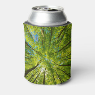 Looking up through green tree leaves can cooler