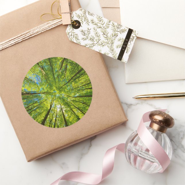 Looking up through green tree leaves classic round sticker (Gifting)